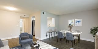 Silver Palms Gallery 2