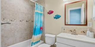 Dolphin Beach Gallery 17