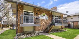 Forest Cove Gallery 12