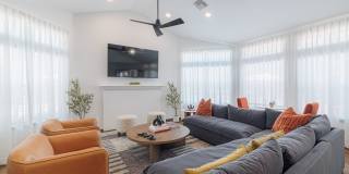 Elle Collection Gallery 21