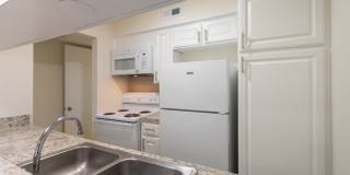 Biltmore Biltmore Gallery 14