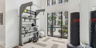 Lantower Westshore Gallery 28