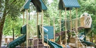 The Timbers The Timbers Gallery 21