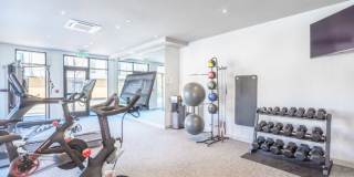 The Westporter Gallery 11