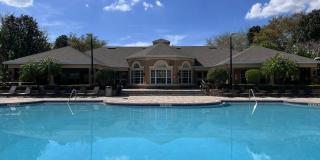 Great apartment for rent! Gallery 33
