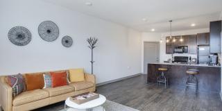 Thrive Argenta Gallery 66