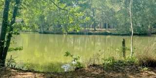 2126 Kimball Circle Gallery 36