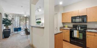 Rockwall Commons Gallery 8