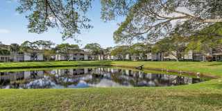 Advenir at Banyan Lake Gallery 25