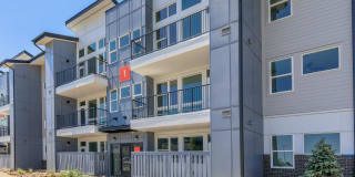 Proximo at Pena Station Gallery 4