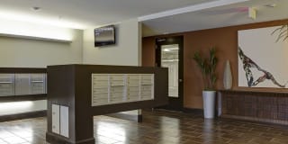 Avalon Ocean Avenue Gallery 15