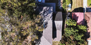 2317 HARRIS STREET Gallery 39