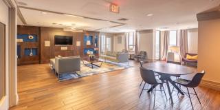 The Veridian Gallery 28