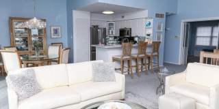 12 Gull Cv Gallery 17