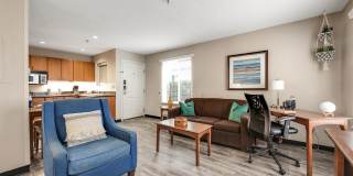 Vivo Living Charlotte Gallery 39
