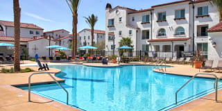 Homecoming at The Preserve Gallery 43