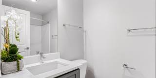 Sofi at Cedar Mill Gallery 17