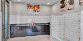 Nexus Brandon Gallery 49