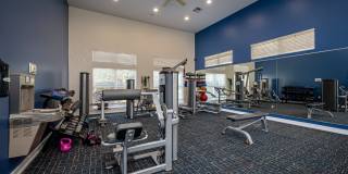 Plantation Crossing Gallery 12
