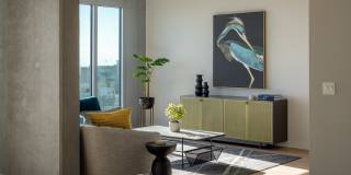 The Merian Gallery 84