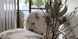 5255 Coronado Parkway Gallery 31