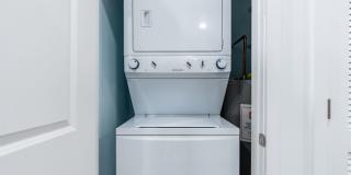 Temple Apartments Gallery 109