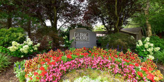 Bay Court at Harbour Pointe Gallery 37