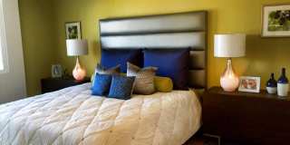 Torrey Gardens Gallery 32