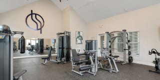 The Standard at Pinestone Gallery 15