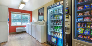 Seattle - Everett - Silverlake Gallery 23