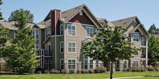 Summerlinn Gallery 1