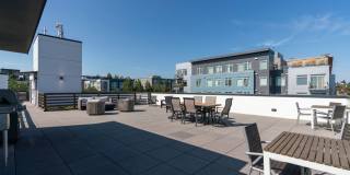4801 Fauntleroy Apartments Gallery 46
