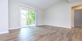 The Hazelwood Gallery 21