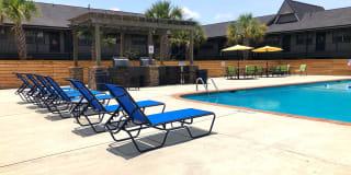 The Lory of Savannah Gallery 6