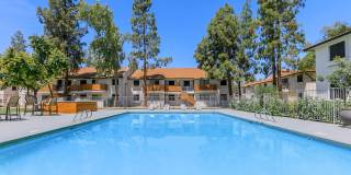 Tides on McDowell Gallery 18