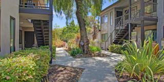 600 Whisman Gallery 8