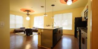 Settlement Place Gallery 434