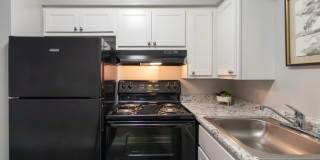 Aspen Village Gallery 35