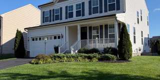 8139 SKYSTONE Loop Gallery 1