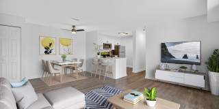 The Cloisters Gallery 4