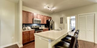 River Oaks Gallery 2