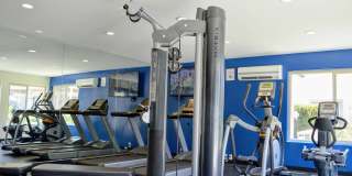 La Jolla Canyon Gallery 19