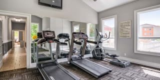 The Samuel Gallery 7