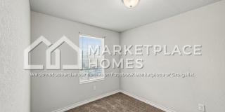 16917 Dancing Ava Gallery 13