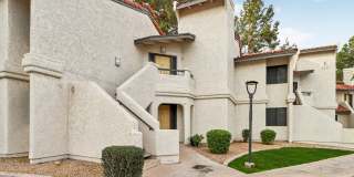 Vetra Chandler Gallery 3