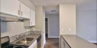 The Zimmer Gallery 9