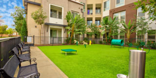 Accent Gallery 25