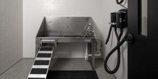 Vale Apartments Gallery 21