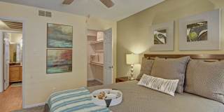 Desert Horizon Gallery 7