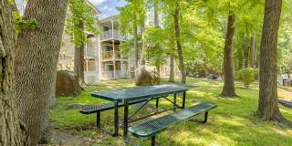 Forest Pointe Apartments Gallery 41
